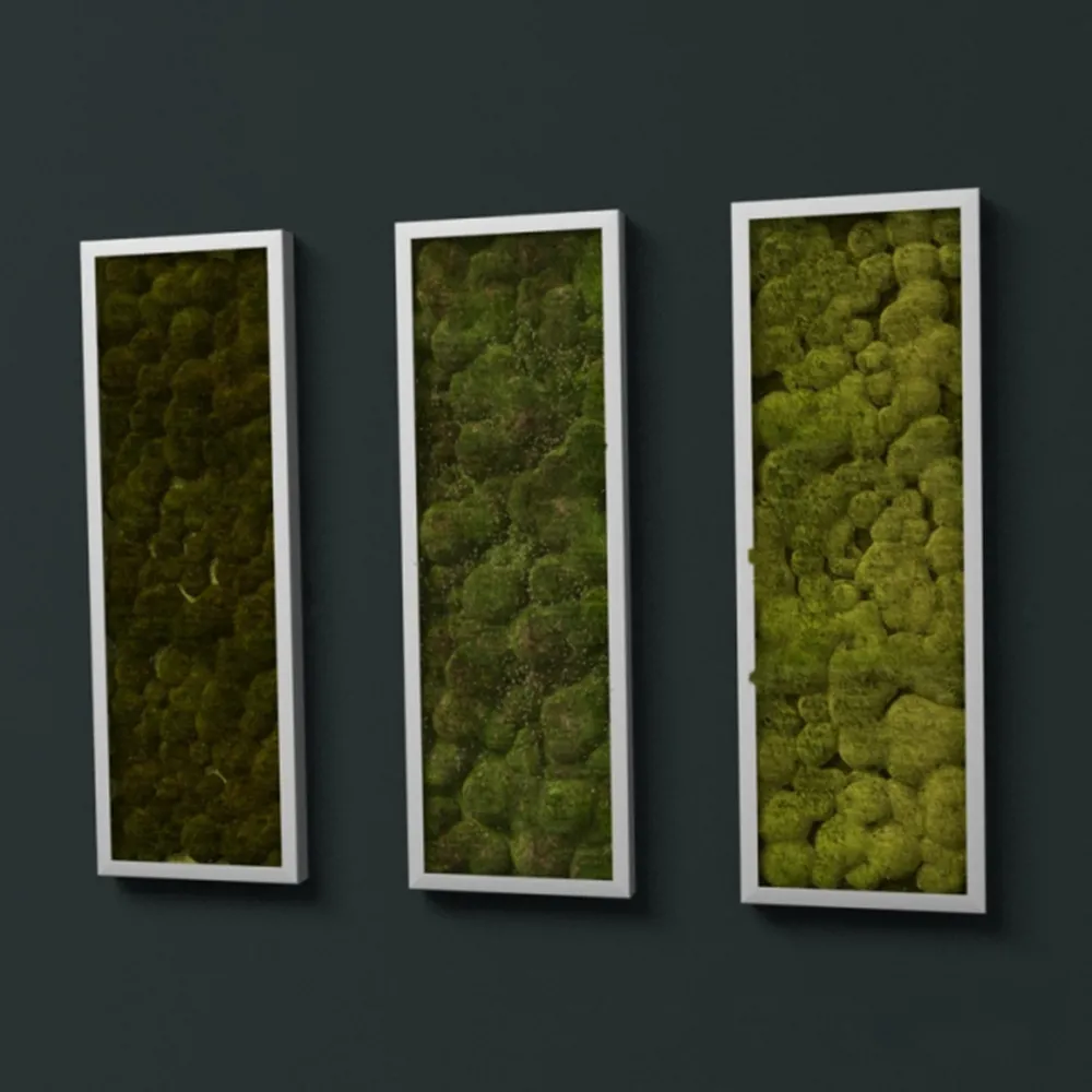 decoration – Stabilized moss – Fitostena/Phytowall 3ds Max