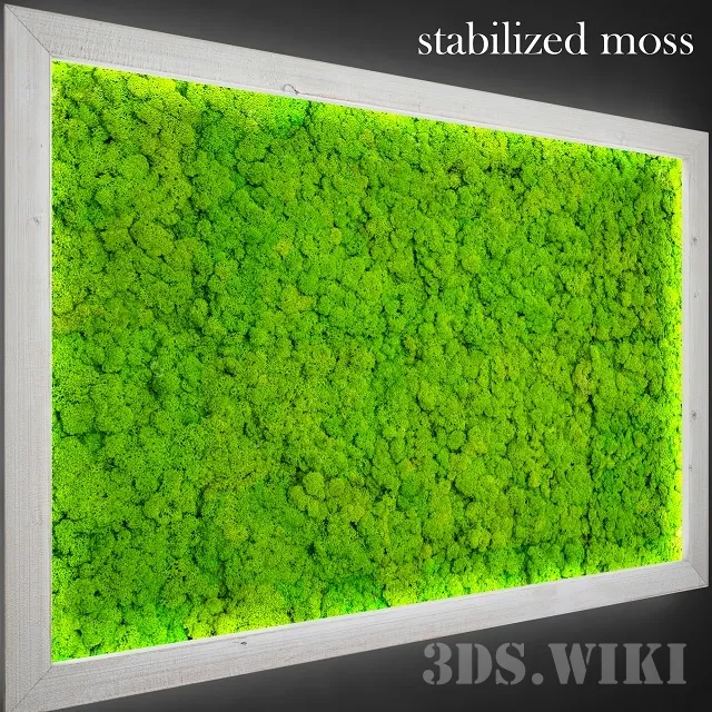 decoration – Stabilized moss for decoration 3ds Max