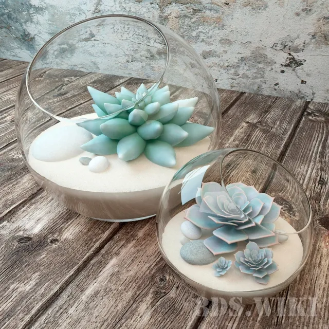 decoration – Succulents in beautiful round jars 3ds Max