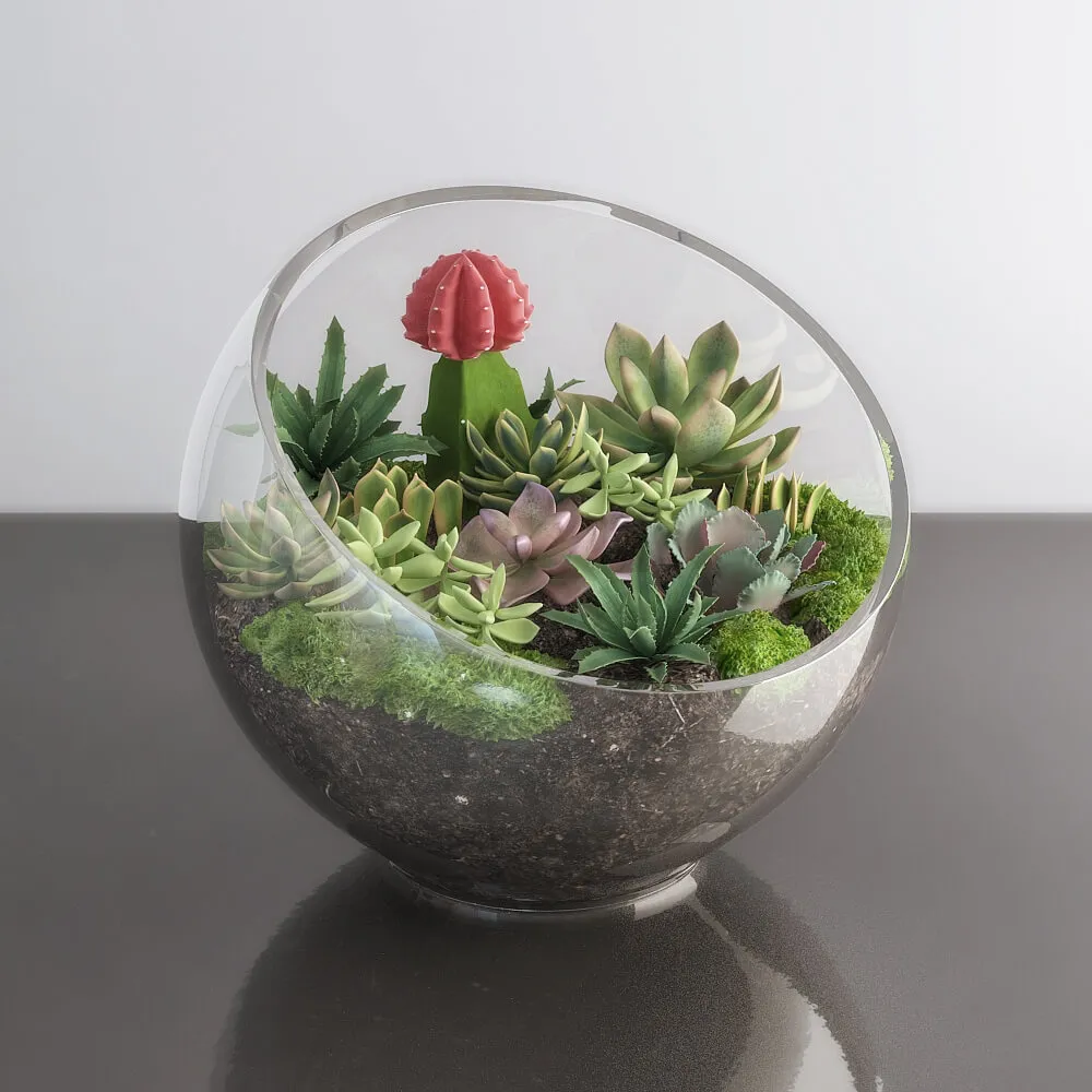 decoration – Succulents in glass bowl 3ds Max