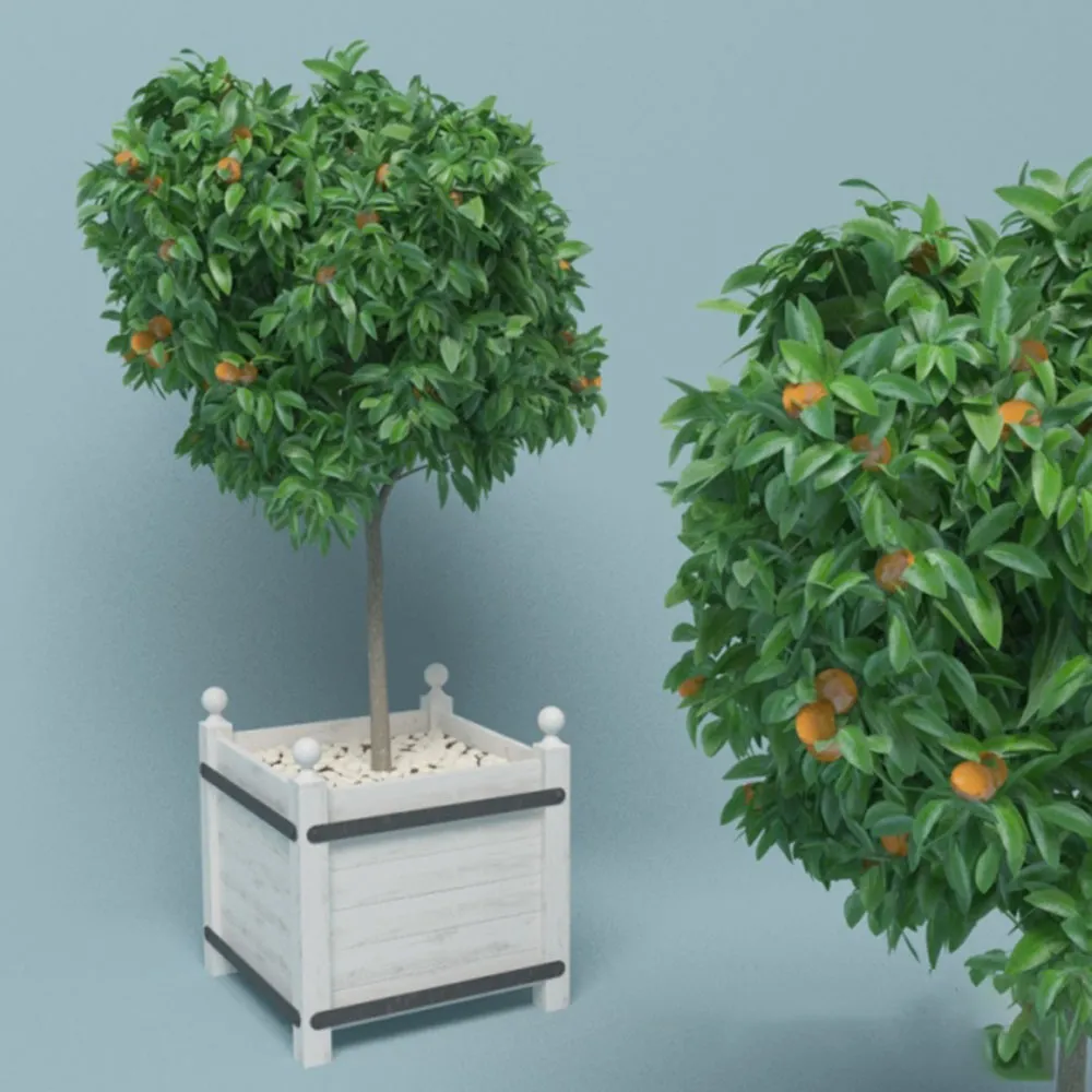decoration – Tangerine tree 3ds Max