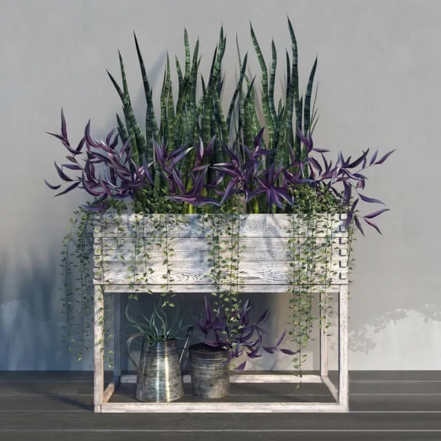 decoration – Terrace plants 21 3ds Max