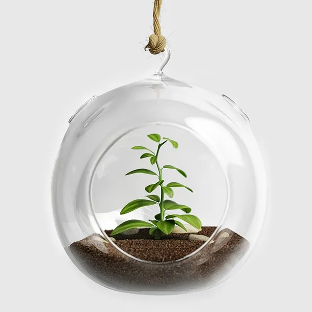 decoration – Terrarium for herbs 3ds Max