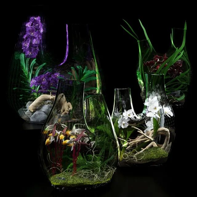 decoration – Terrarium vases with Orchids 3ds Max