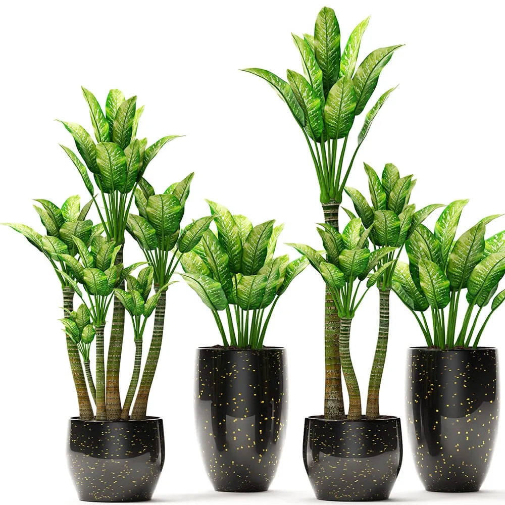 decoration – The collection of plants in pots 12 3ds Max