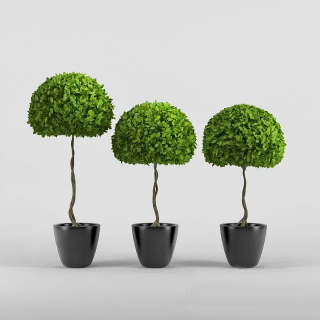 decoration – Three plants 3ds Max