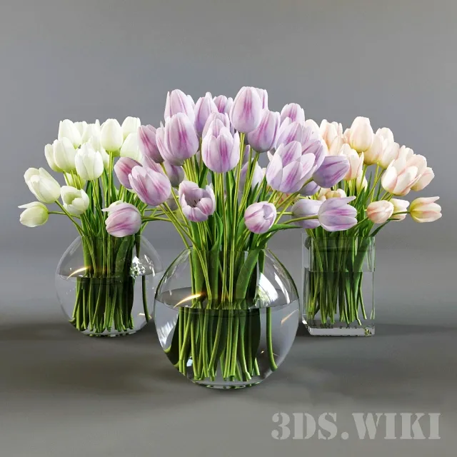 decoration – Three vases with tulips 3ds Max