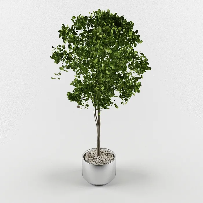 decoration – Tree 9 3ds Max
