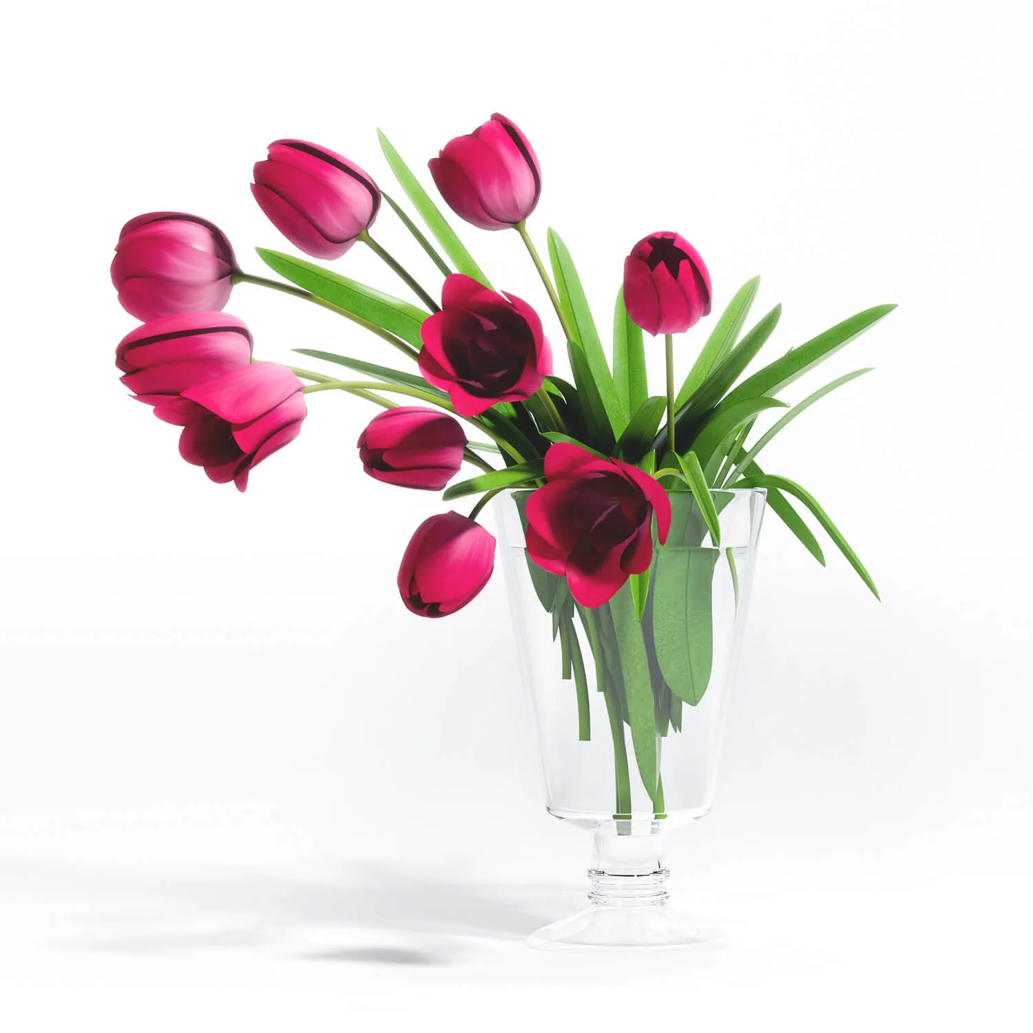 decoration – Tulip  Flower – 5 3ds Max