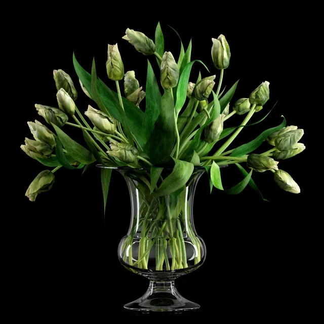 decoration – Tulips 3ds Max