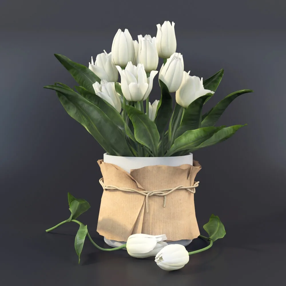 decoration – Tulips 49 3ds Max