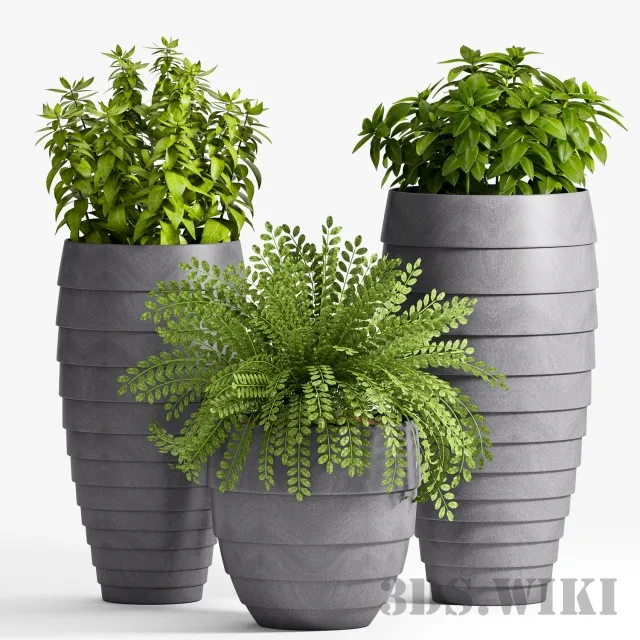 decoration – Various beautiful plants in vases 3ds Max