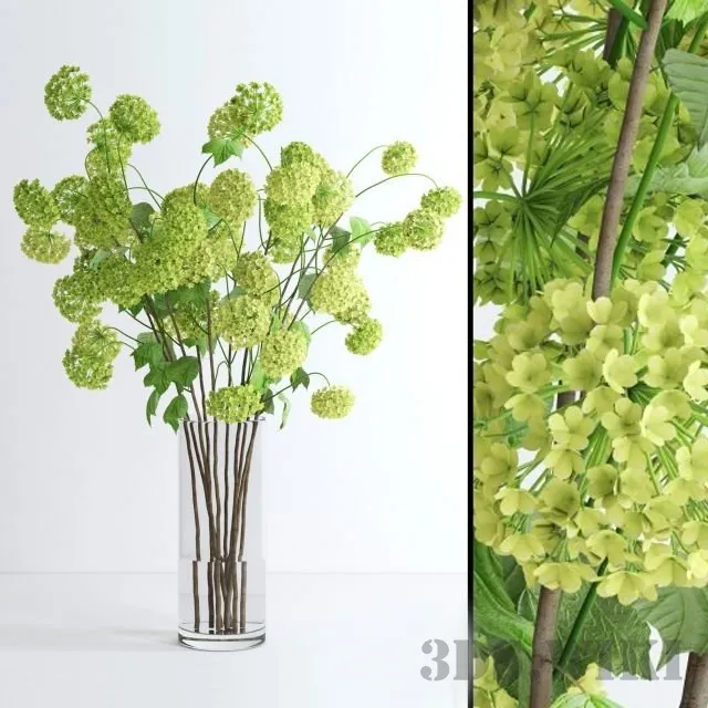 decoration – Viburnum branches 3ds Max