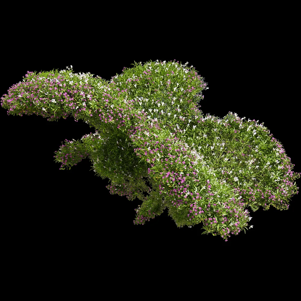 decoration – Viola tricolor 10 3ds Max