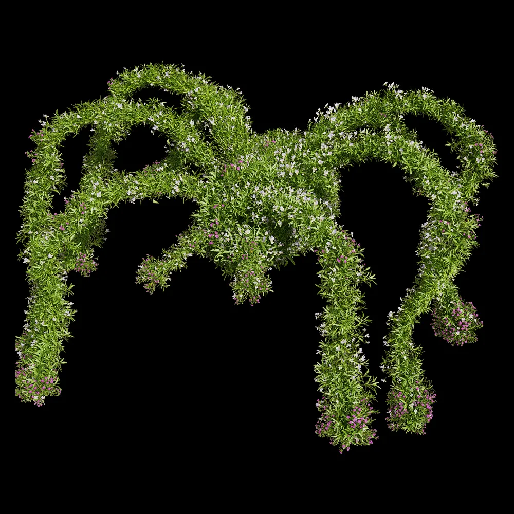 decoration – Viola tricolor 12 3ds Max