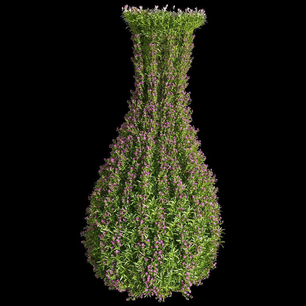 decoration – Viola tricolor 2 3ds Max