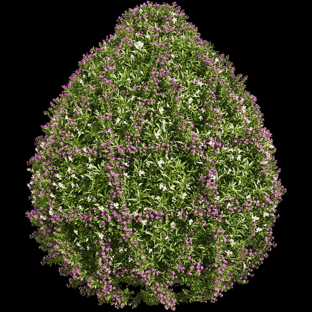 decoration – Viola tricolor 3 3ds Max