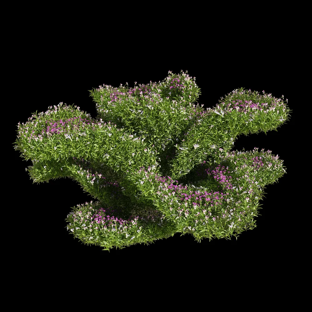 decoration – Viola tricolor 6 3ds Max