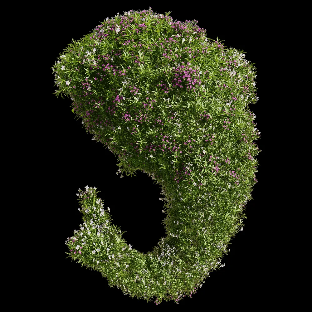 decoration – Viola tricolor 9 3ds Max