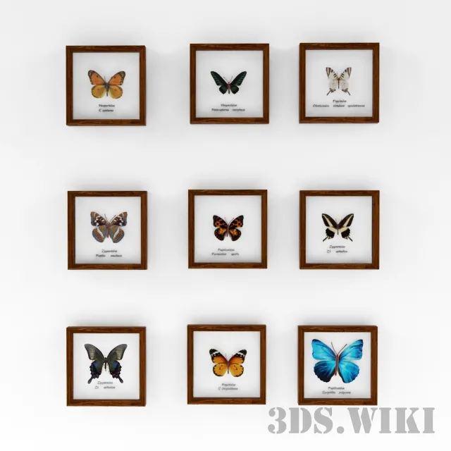 decoration – Wall pictures with butterflies 3ds Max