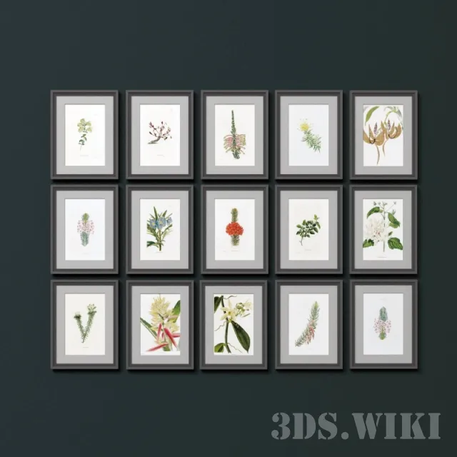 decoration – Wall posters “botany” 3ds Max