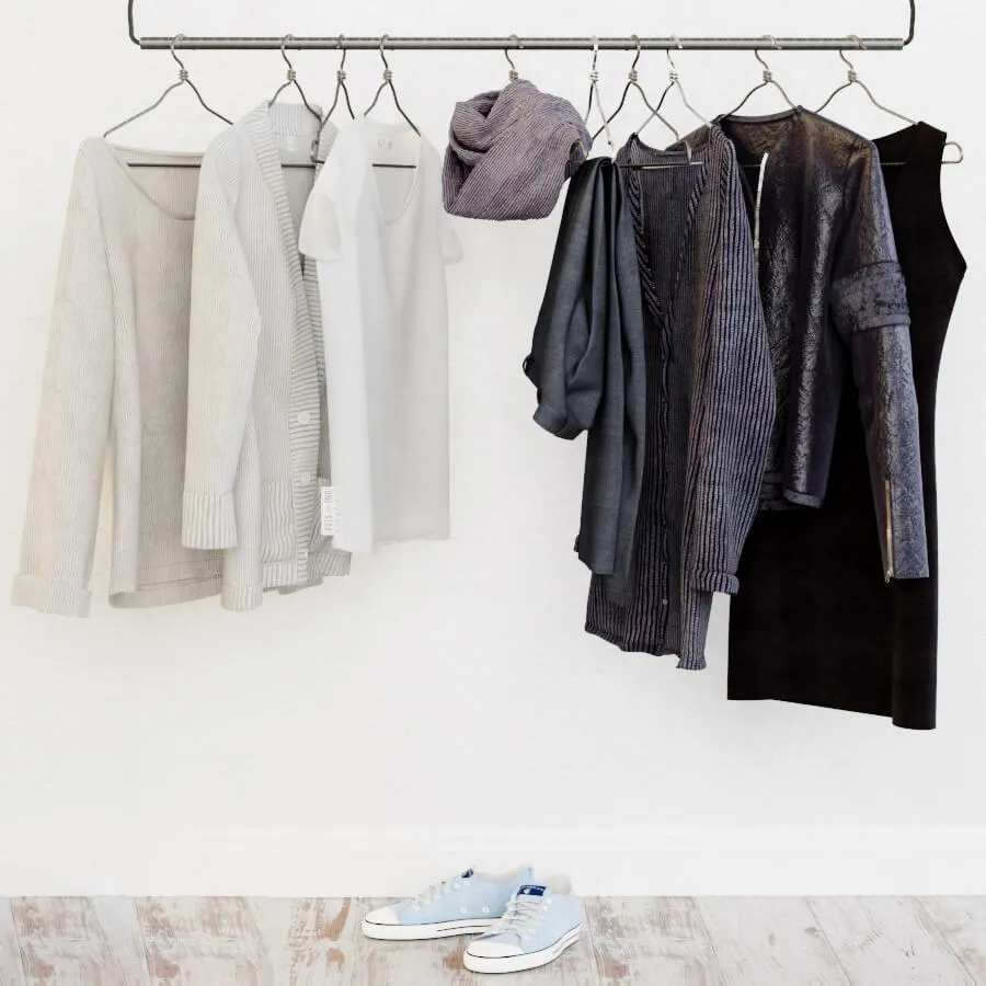 decoration – Wardrobe in the Scandinavian interior 3ds Max