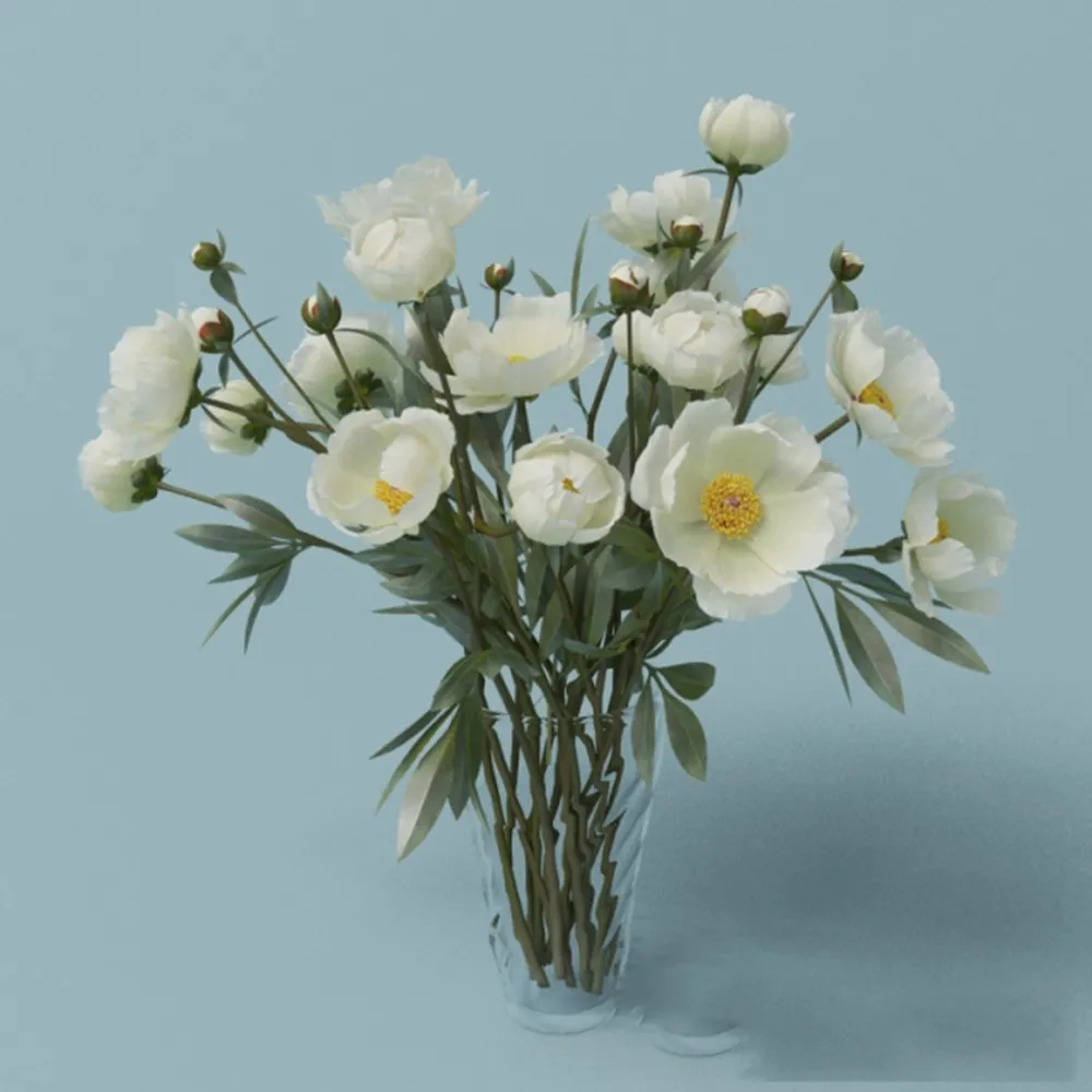 decoration – White peonies 3ds Max