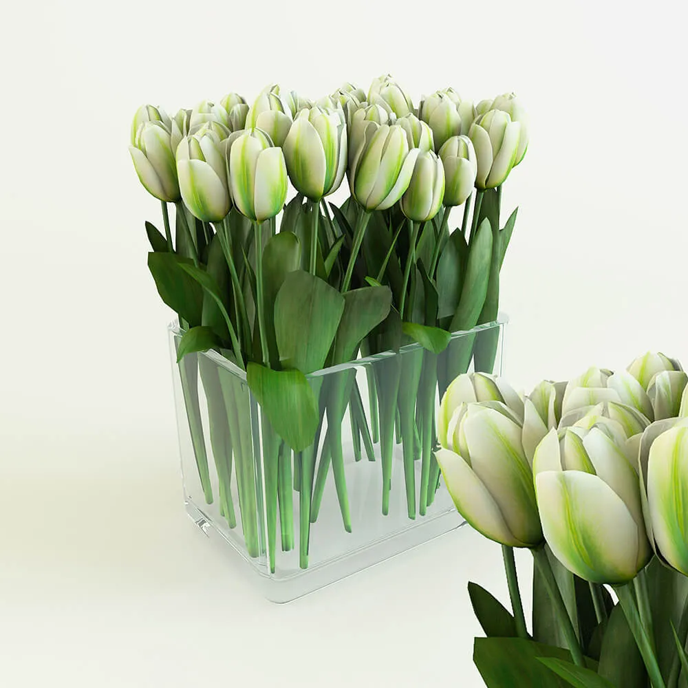 decoration – White tulips in a rectangular vase 3ds Max