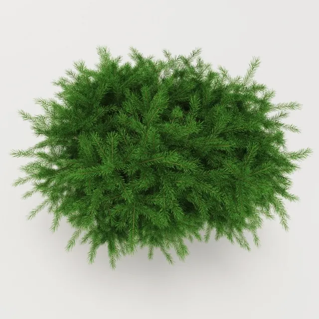 decoration – Whitewood Nidiformis 3ds Max