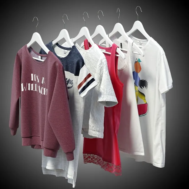 decoration – Women’s clothing on hangers 1 3ds Max
