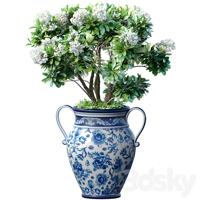 Decorative blooming garden tree with white Plumeria flowers in a vase 3ds Max