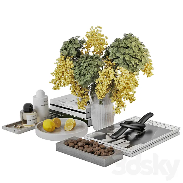 Decorative coffee table set 3ds Max