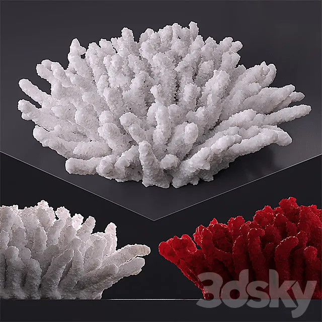 Decorative coral 3DS Max Model