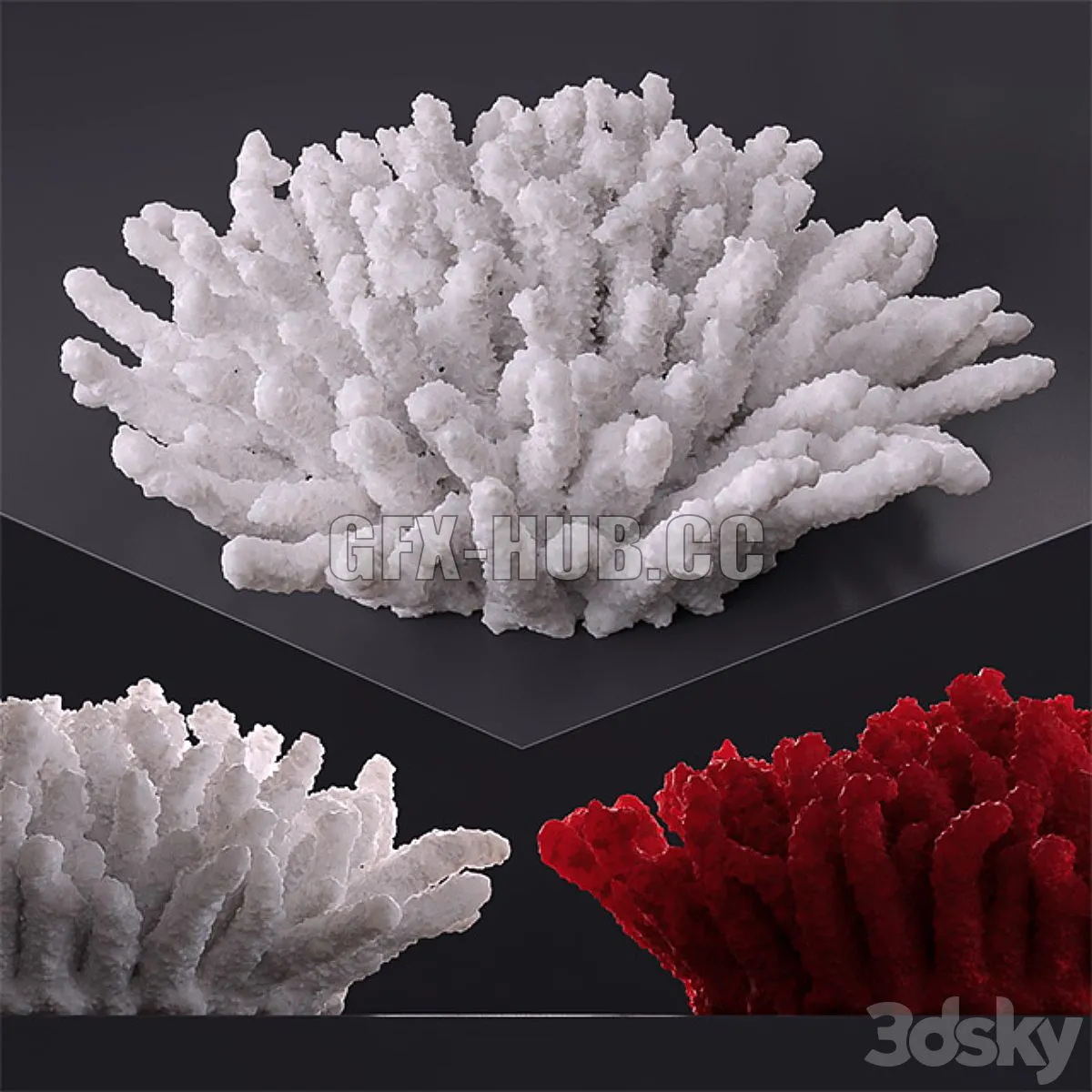 Decorative coral 3dsMax Model