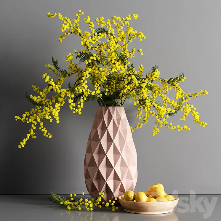 Decorative Mimosa Lemon 3DS Max