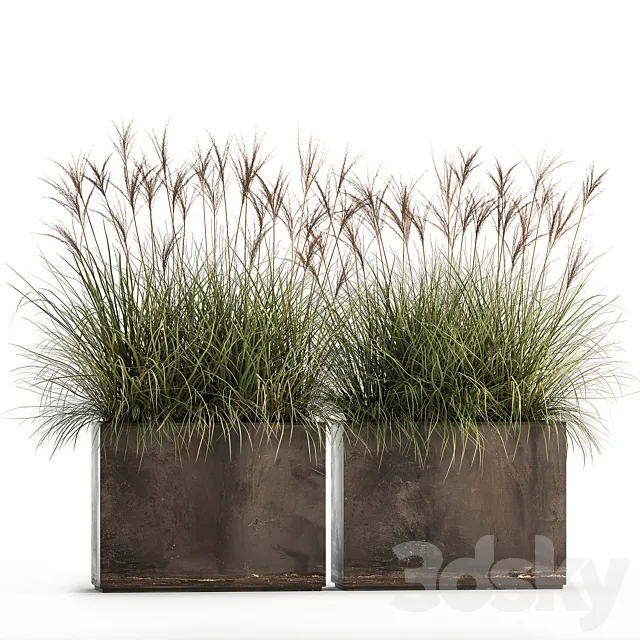 Decorative Miscanthus bushes in a rusty metal outdoor pot veinik fan. Set 933. 3ds Max