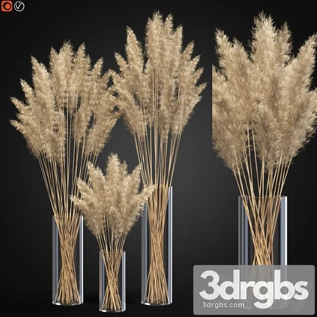 Decorative pampas