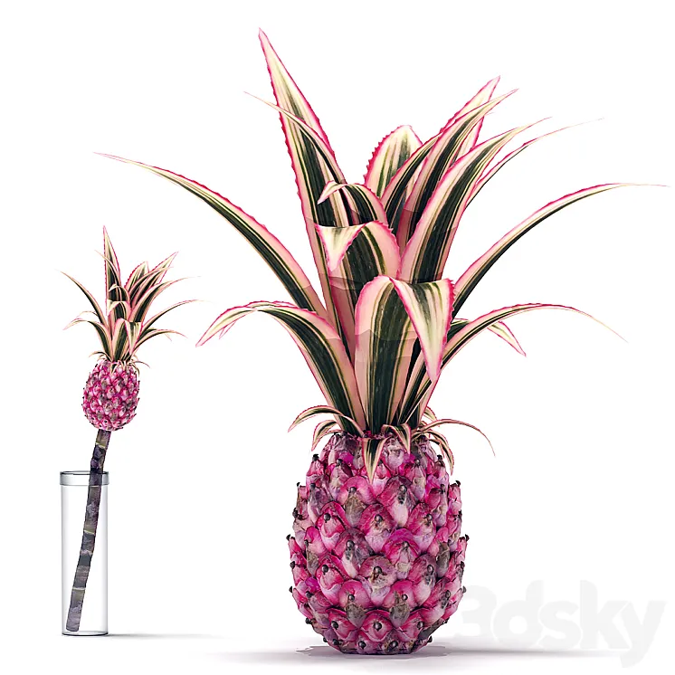 Decorative Pink Pineapple 3DS Max