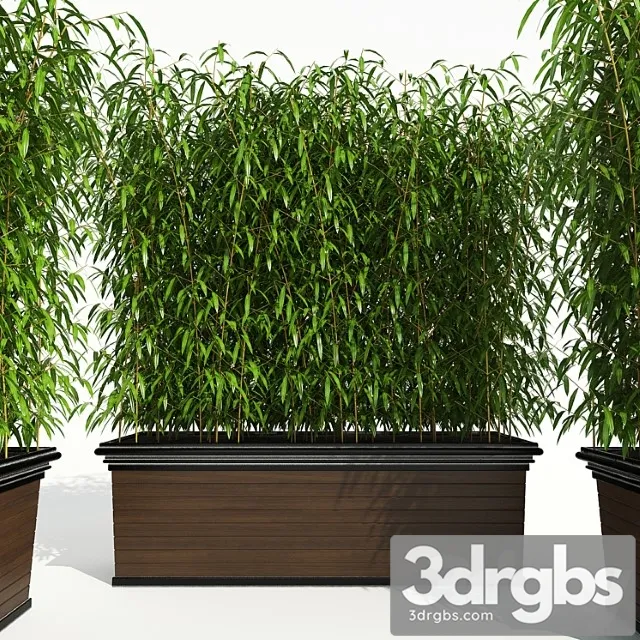 Decorative Plant 2 2 3dsmax Download