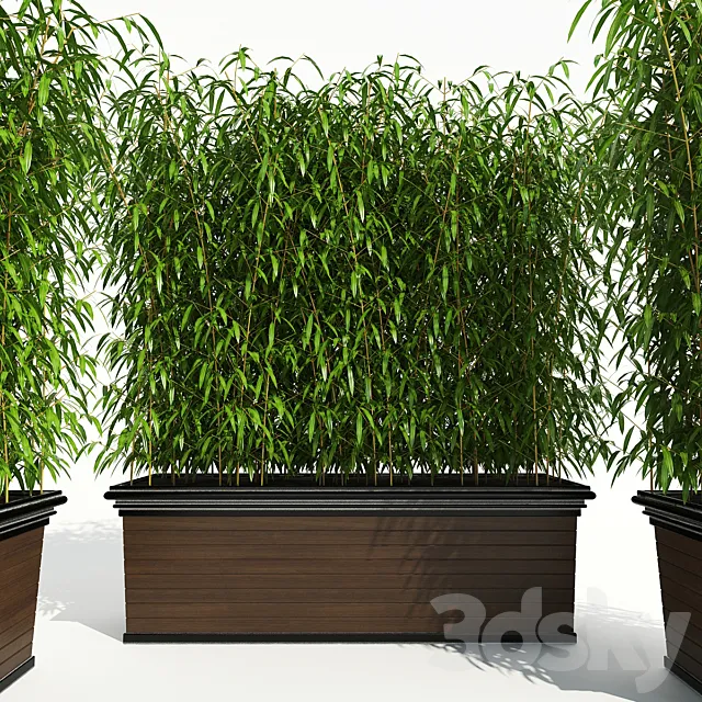 Decorative Plant 2 3ds Max