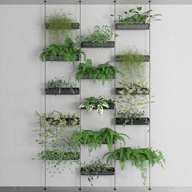 Decorative plants 3DSMax File