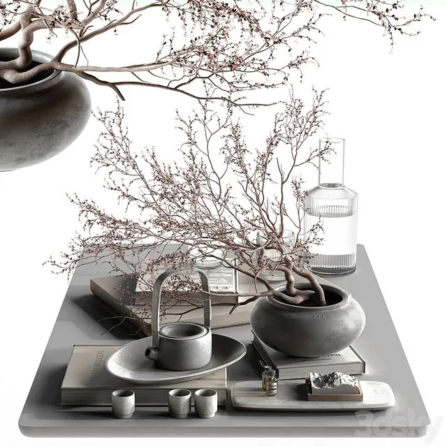Decorative Set 067-Japanese Set 3dsMax Model