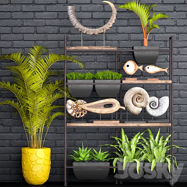 Decorative set. 1. Black brickwork. tusk. horn. palm tree. ammonite. figurine. assplenium. loft. shelf with decor. rack 3DSMax File
