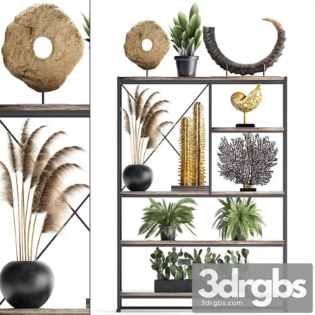 Decorative set 14. decor shelf tusk pampas grass dried flower coral cactus fern rack loft decor 3dsmax Download