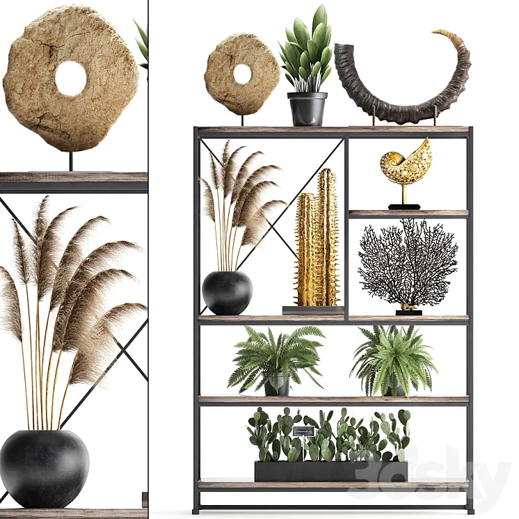 Decorative set 14. Decor shelf tusk pampas grass dried flower coral cactus fern rack loft decor 3DS Max