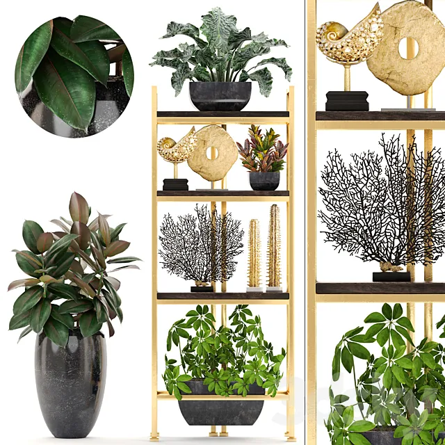 Decorative set. 4. Shelf with flowers. gold. coral. Ficus. pot. Rack. decor. Schefflera. luxury. ficus abidjan 3DSMax File
