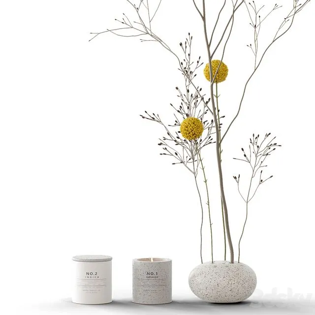 Decorative set 58 branch and candles 3dsMax Model