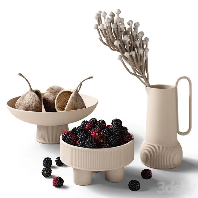 Decorative set 77 Blackberry and brunia 3dsMax Model