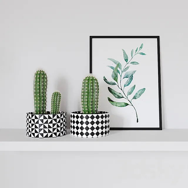 Decorative set – cactus and poster 3DSMax File