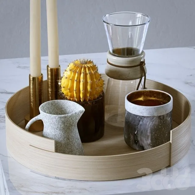 Decorative set cactus tray 3dsMax Model